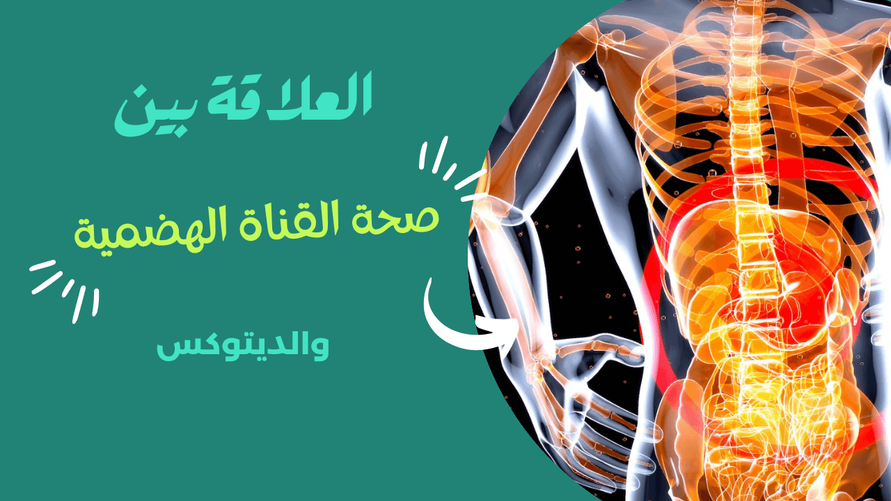 You are currently viewing العلاقة بين صحة القناة الهضمية والديتوكس