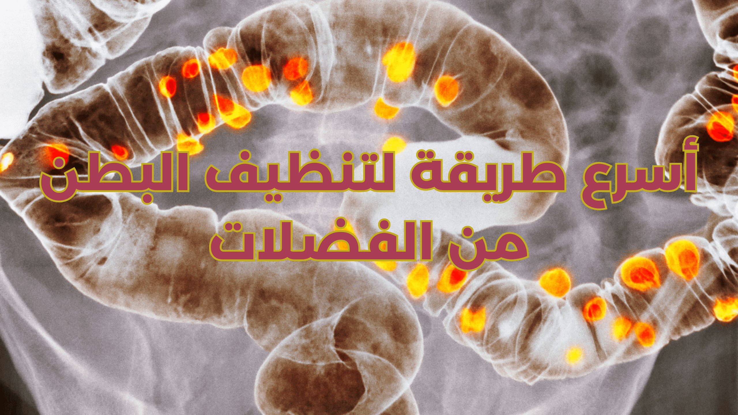 Read more about the article أسرع طريقة لتنظيف البطن من الفضلات